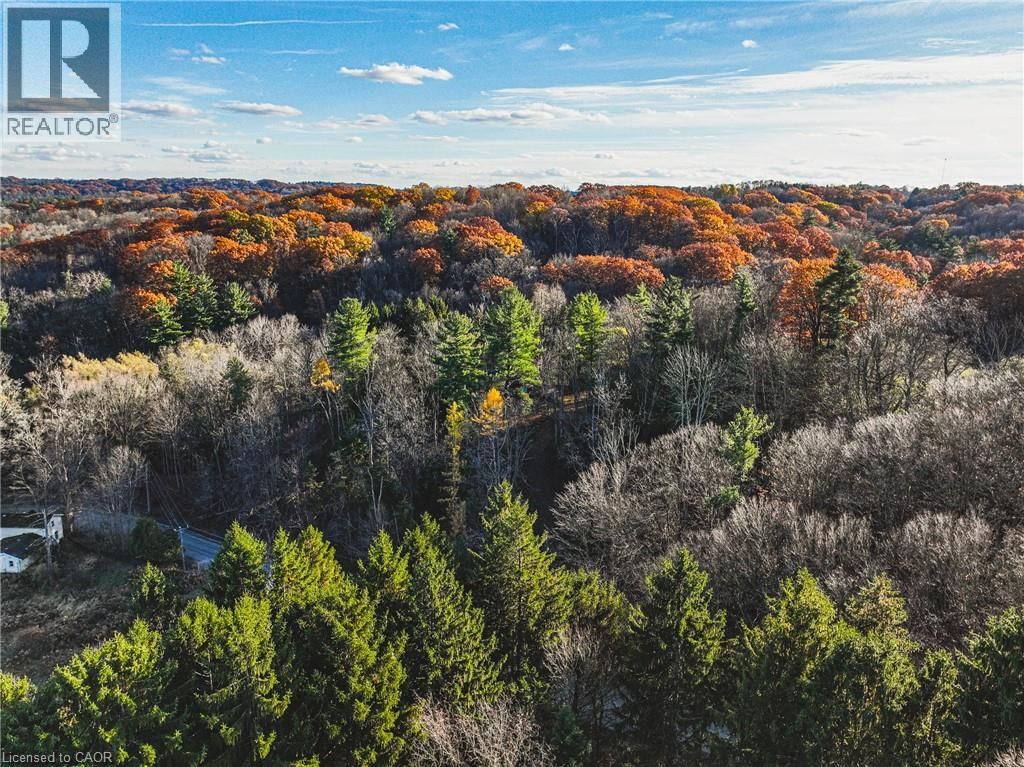 1296 MINERAL SPRINGS ROAD Image 17