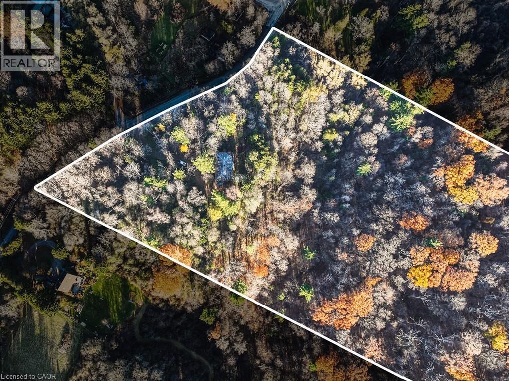 1296 MINERAL SPRINGS ROAD Image 3