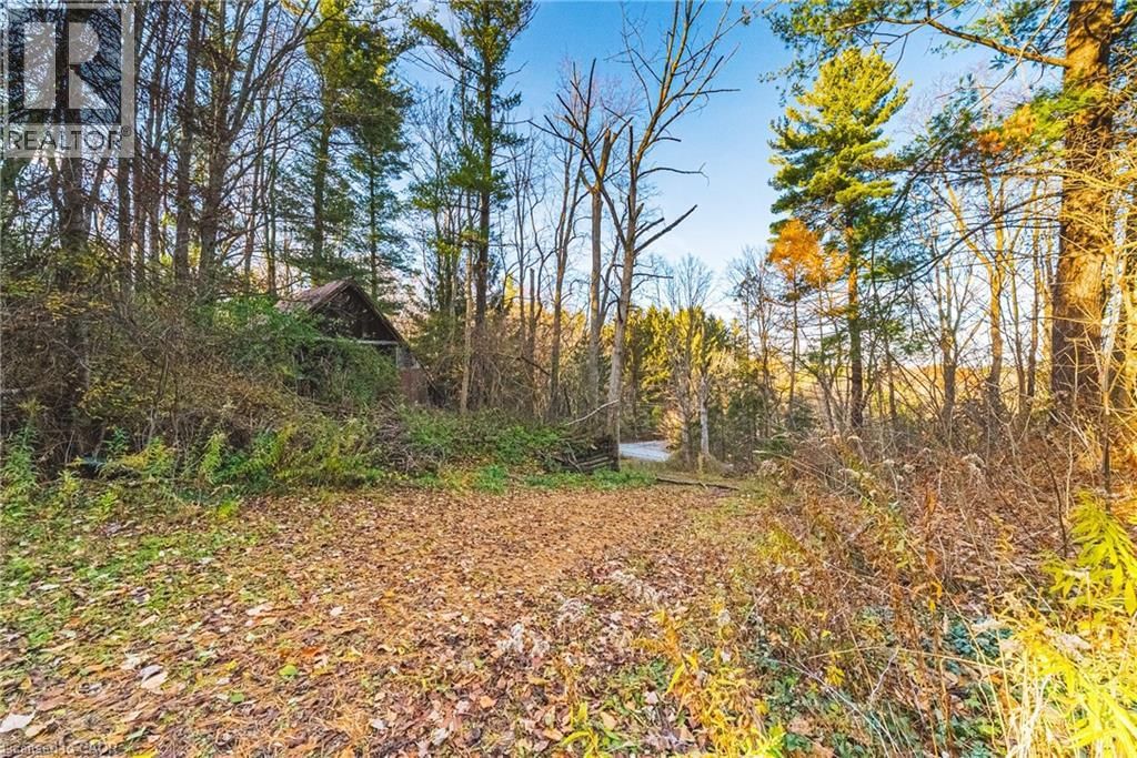 1296 MINERAL SPRINGS ROAD Image 4