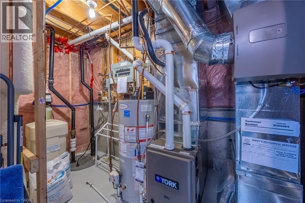 8 - 93 ELMHURST AVENUE Image 27