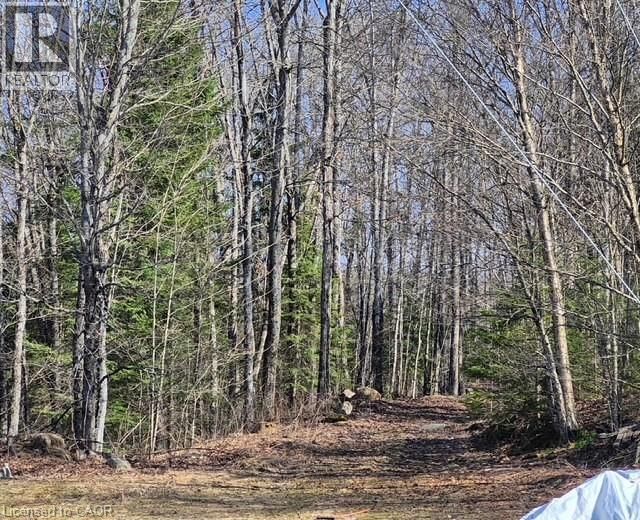 411 PEGGS MOUNTAIN ROAD Image 30