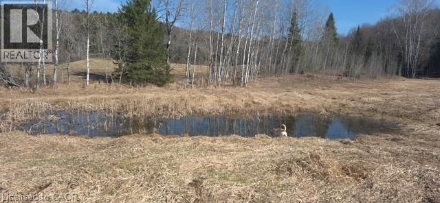 411 PEGGS MOUNTAIN ROAD Image 33