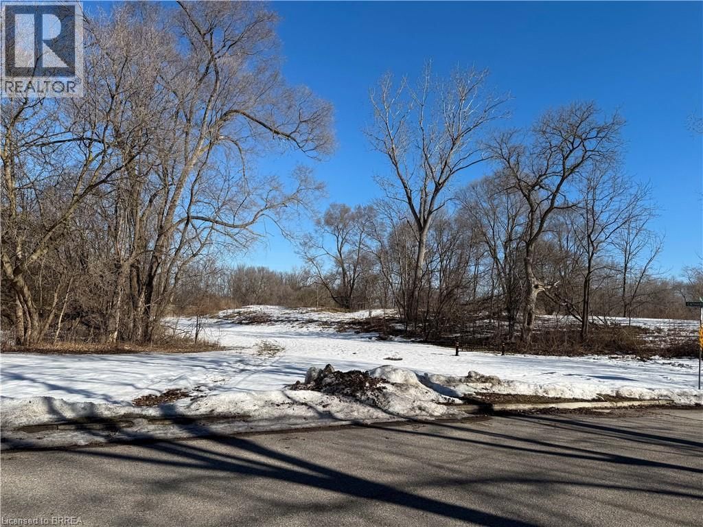 3 - 36 GRAHAM AVENUE Image 29