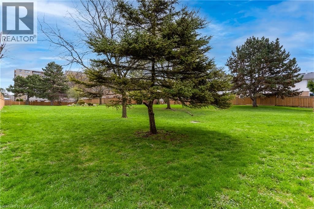 3 - 85 ALBRIGHT ROAD Image 31