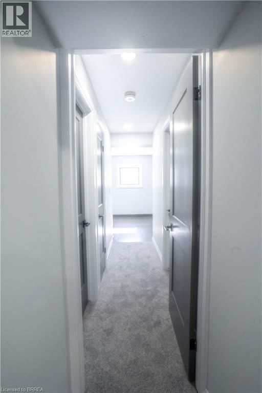 2 - 130 ELGIN STREET Image 11