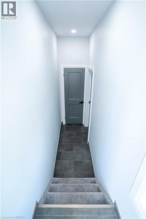 2 - 130 ELGIN STREET Image 14