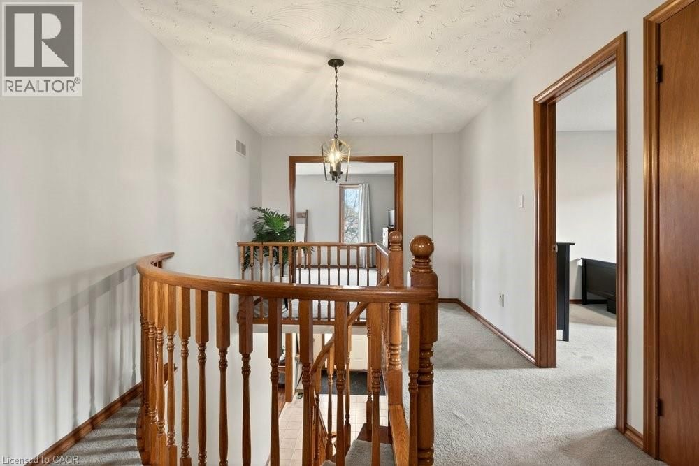 8 WYVIS COURT Image 22