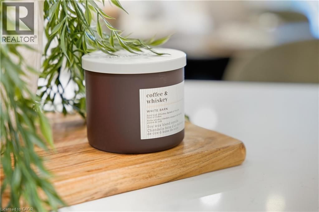 24 - 29 WEYMOUTH STREET Image 17