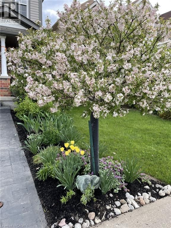 126 SNOWDROP CRESCENT Image 36