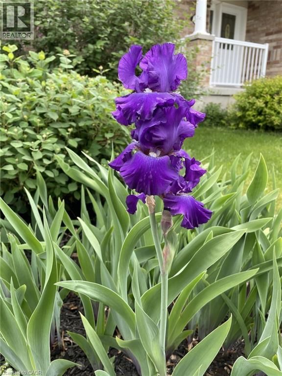 126 SNOWDROP CRESCENT Image 37