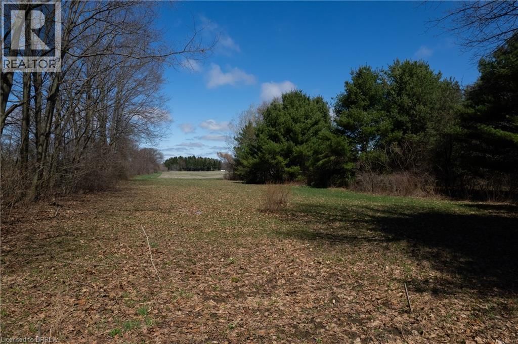 57049 LIGHT LINE Image 10