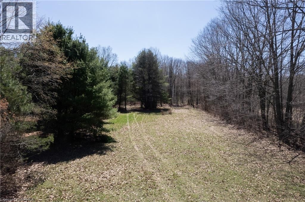 57049 LIGHT LINE Image 7