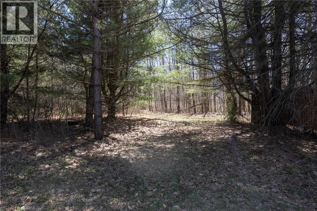 57049 LIGHT LINE Image 8