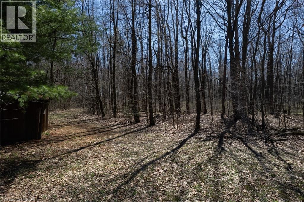 57049 LIGHT LINE Image 9