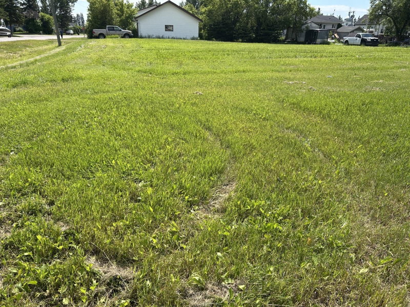 Radway Alberta, T0A 2V0 - Vacant Land For Sale