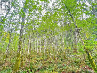 Image #1 of Commercial for Sale at Lot 1 Porlier Pass Rd, Galiano Island, British Columbia