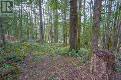 Commercial for Sale in British-columbia