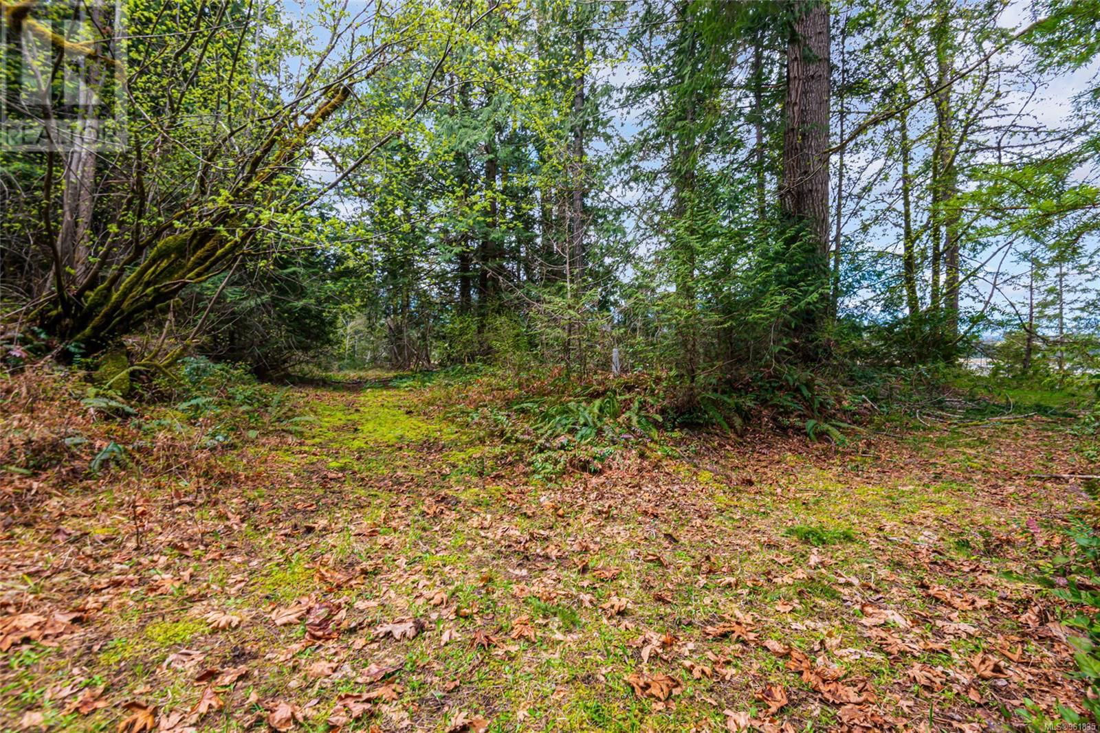 Lot 13 Island Hwy W Image 17