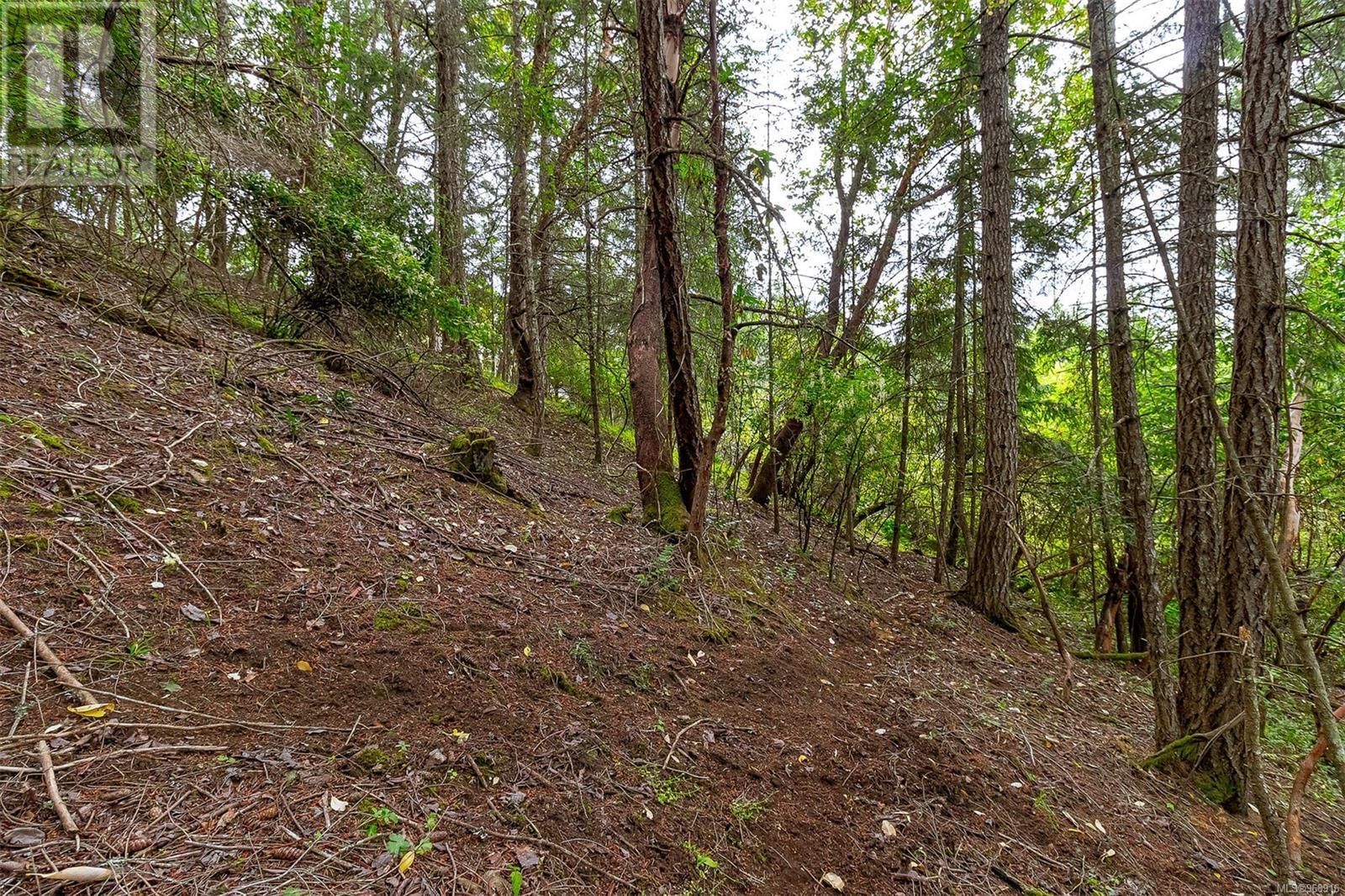 Lot 13 Bird's Eye Drive property photo