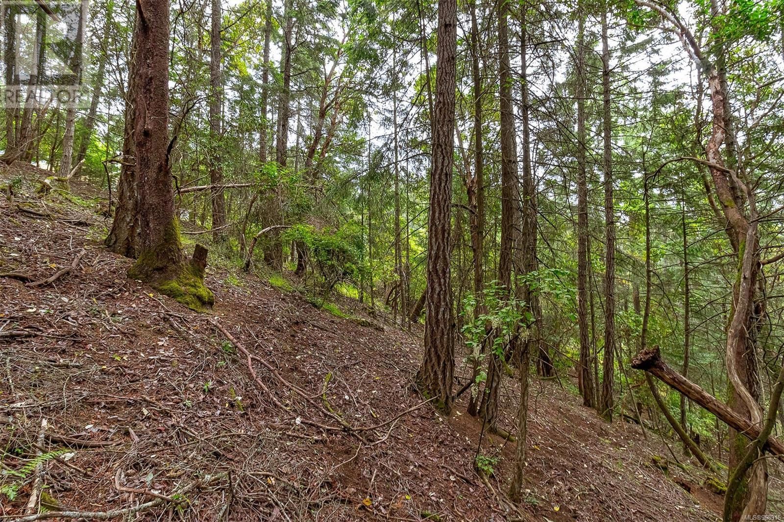 Lot 13 Bird's Eye Drive property photo