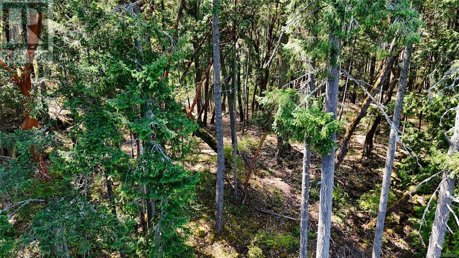 Lot 4 WILLIS POINT ROAD Image 10
