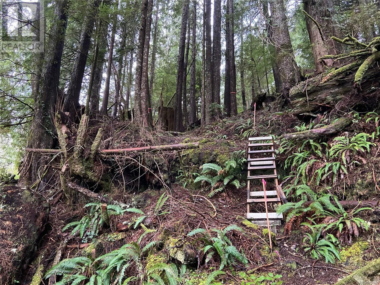 7 167 Bamfield Boardwalk Image 10