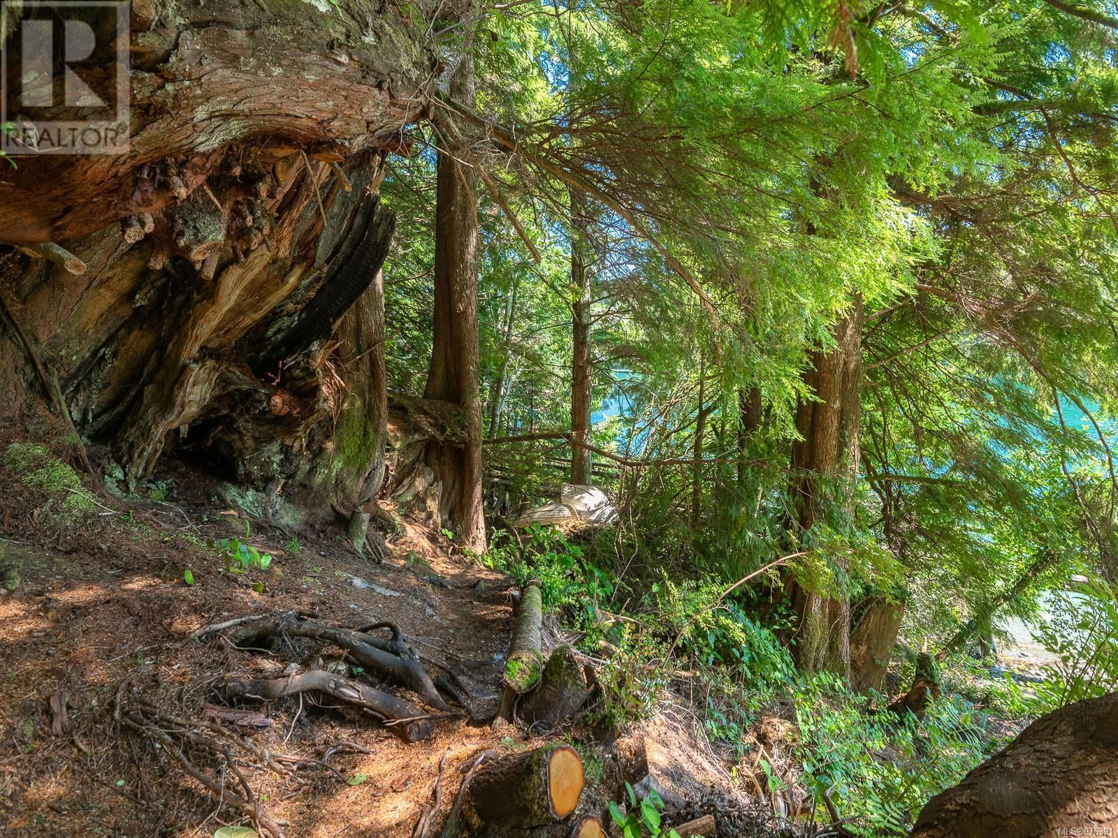 7 167 Bamfield Boardwalk Image 7