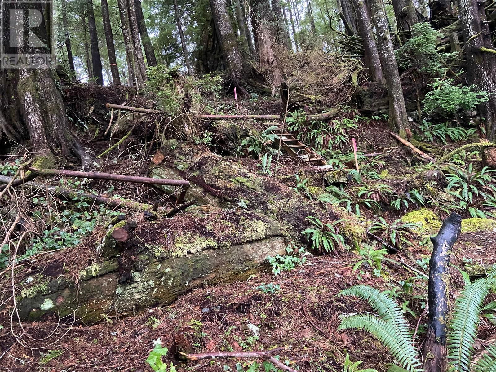 7 167 Bamfield Boardwalk Image 9