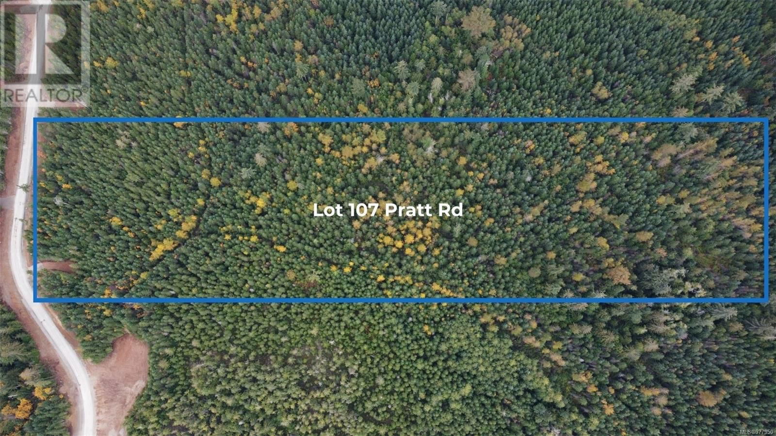 Lot 107 Pratt Rd Image 1