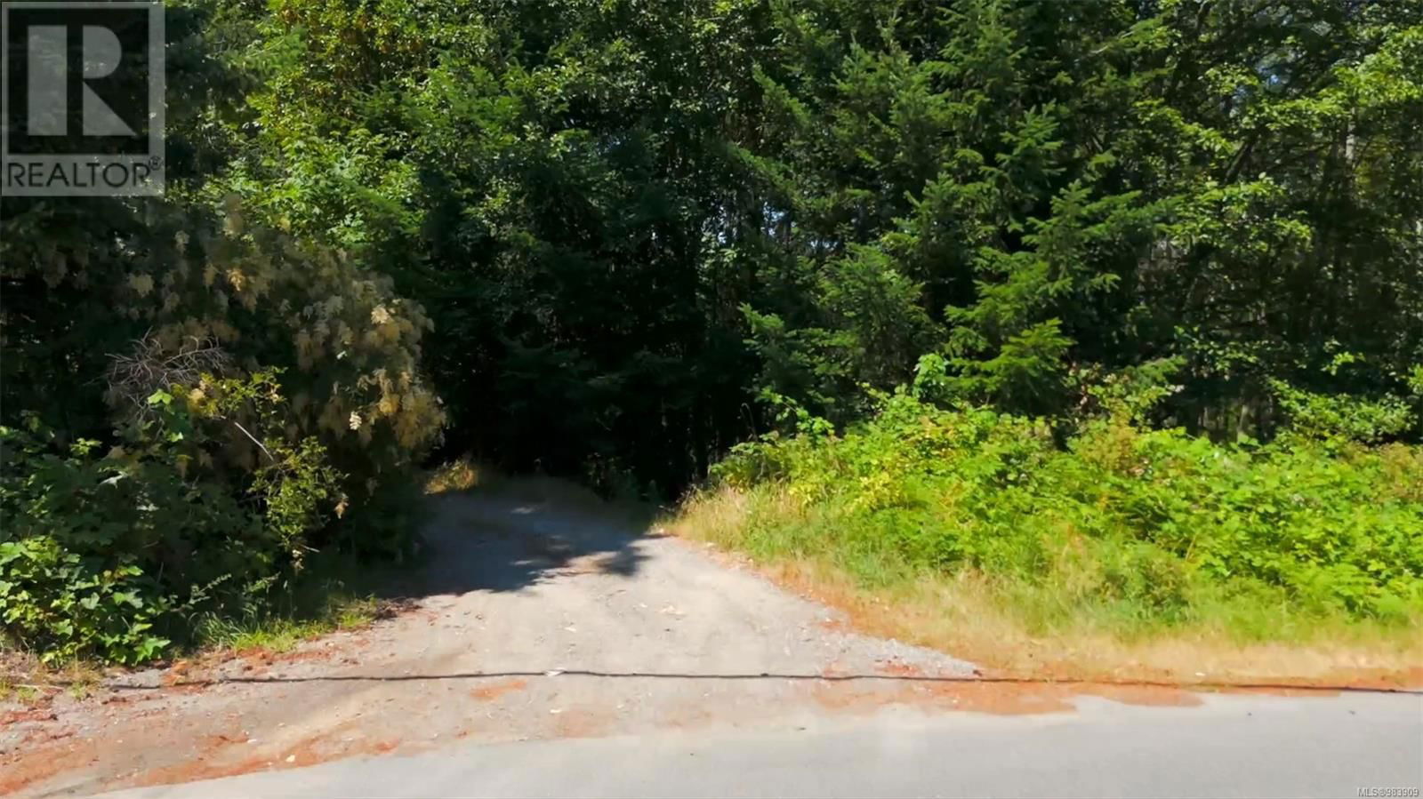 2433 SUMMERSET ROAD Image 22