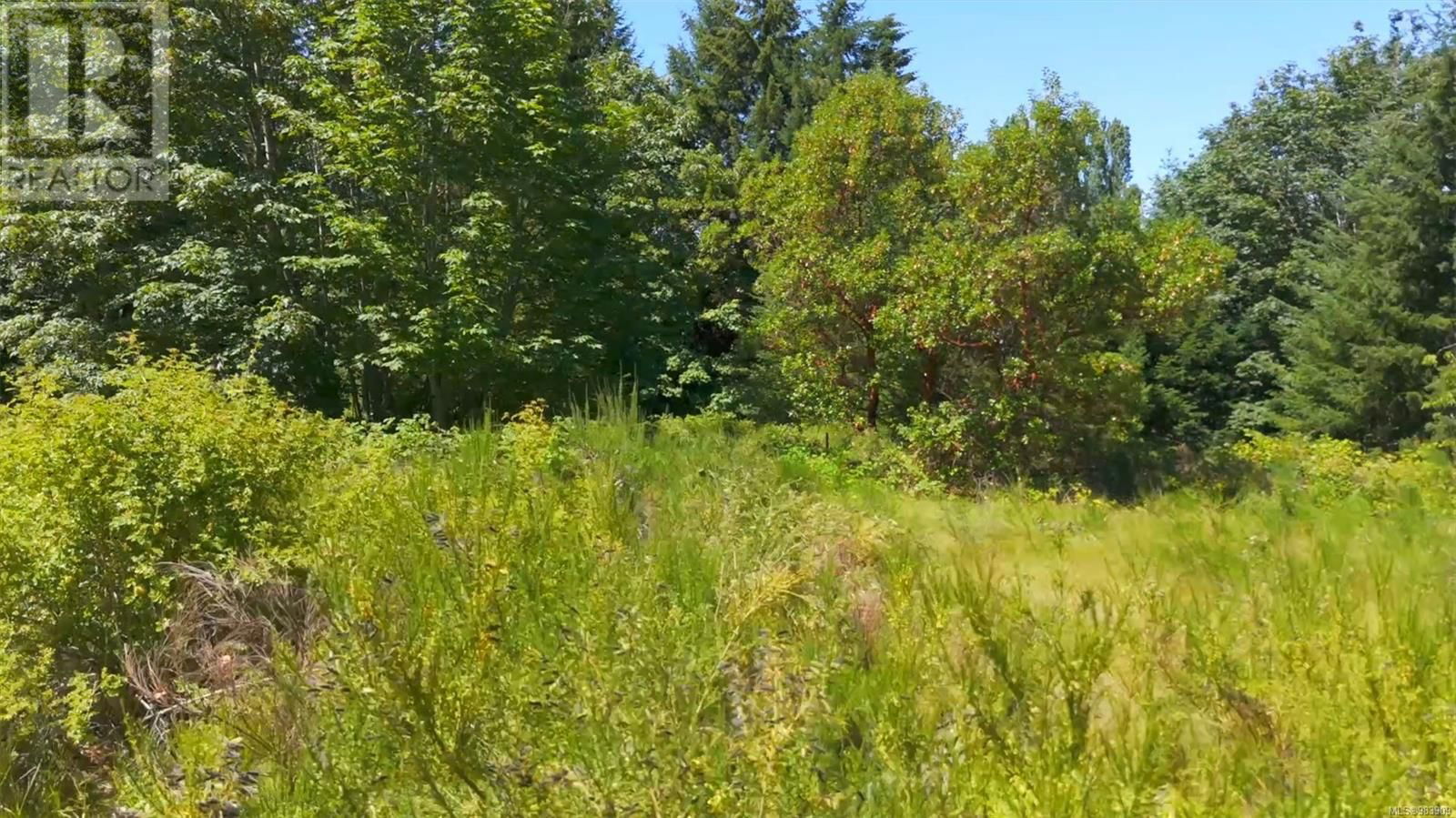 2433 SUMMERSET ROAD Image 25