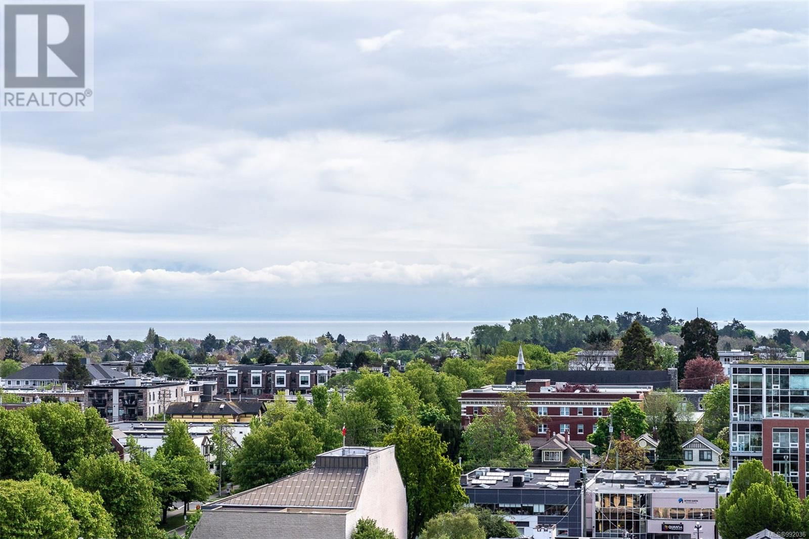 Primary Property View