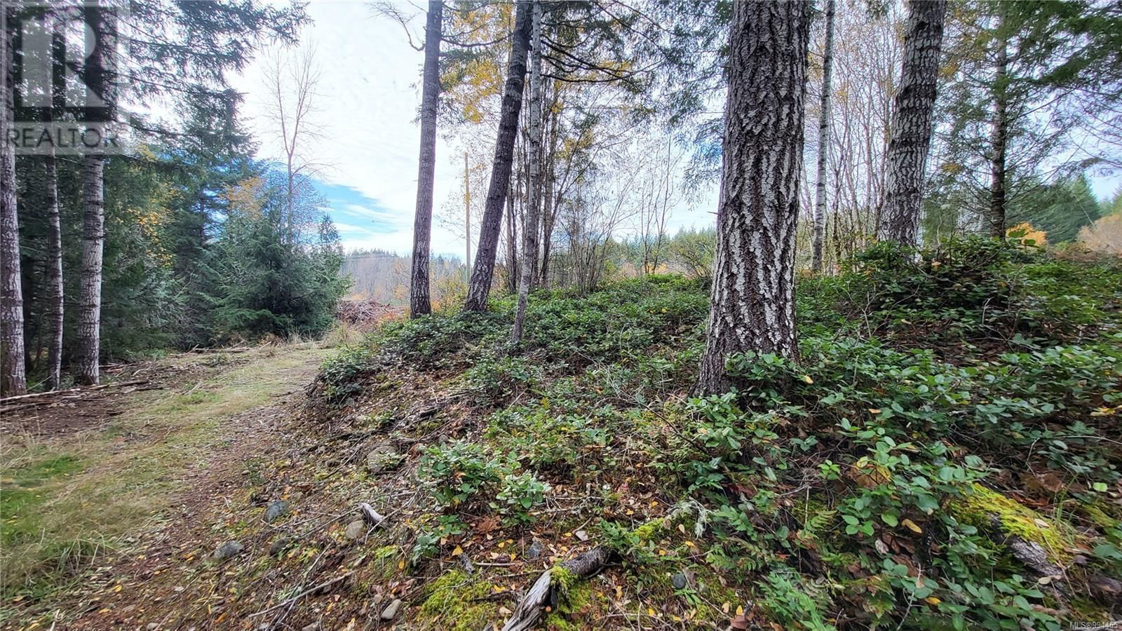 Lot 3 COWICHAN LAKE ROAD Image 1