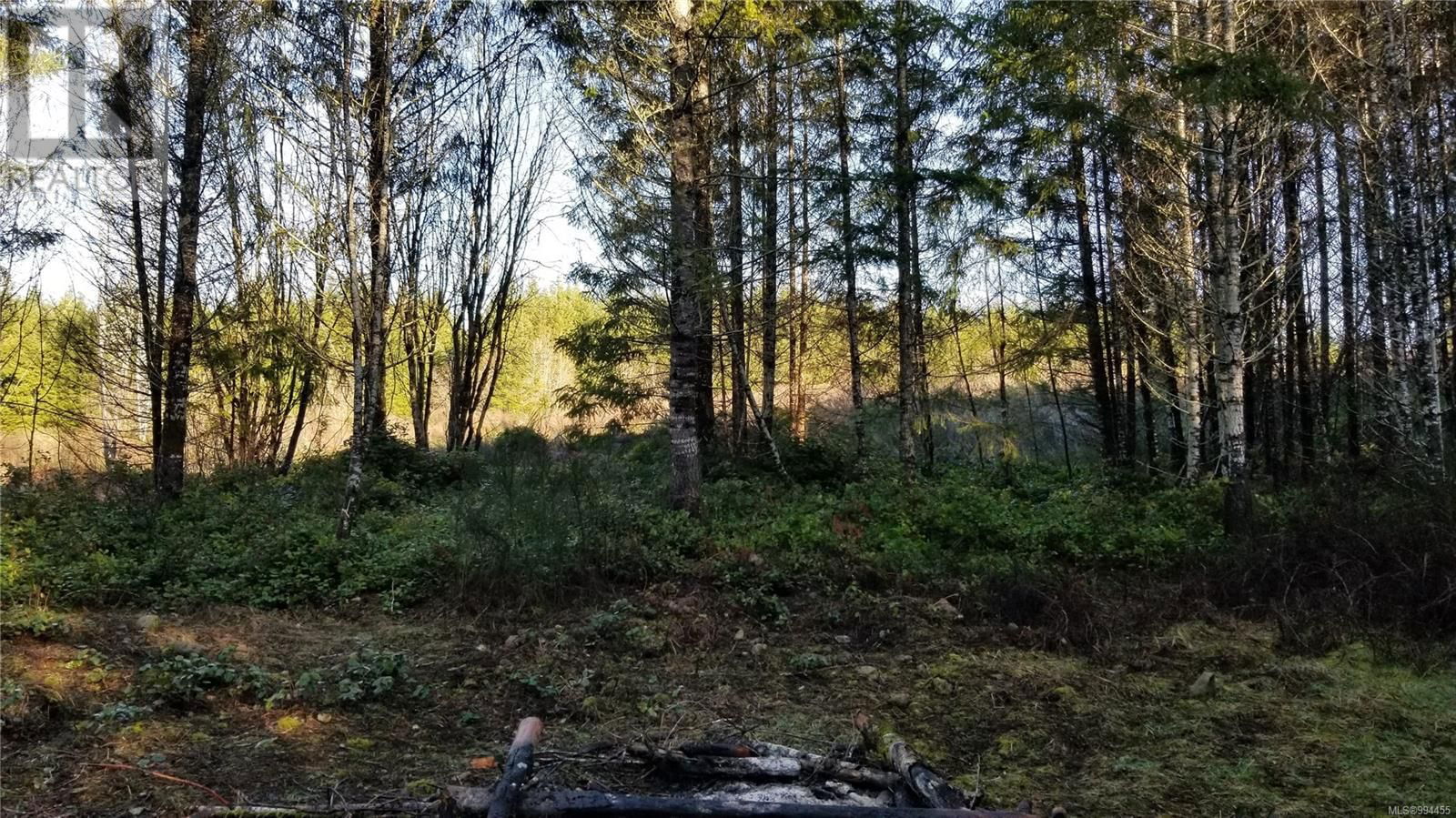 Lot 3 COWICHAN LAKE ROAD Image 10