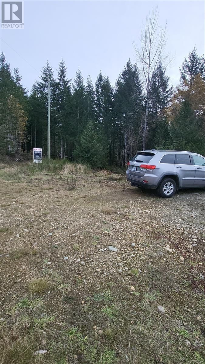 Lot 3 COWICHAN LAKE ROAD Image 11