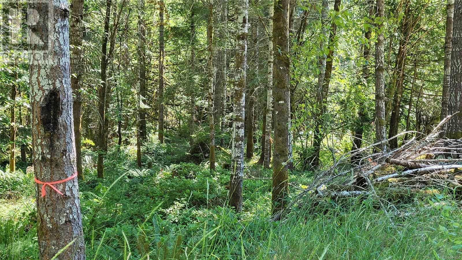 Lot 3 COWICHAN LAKE ROAD Image 2