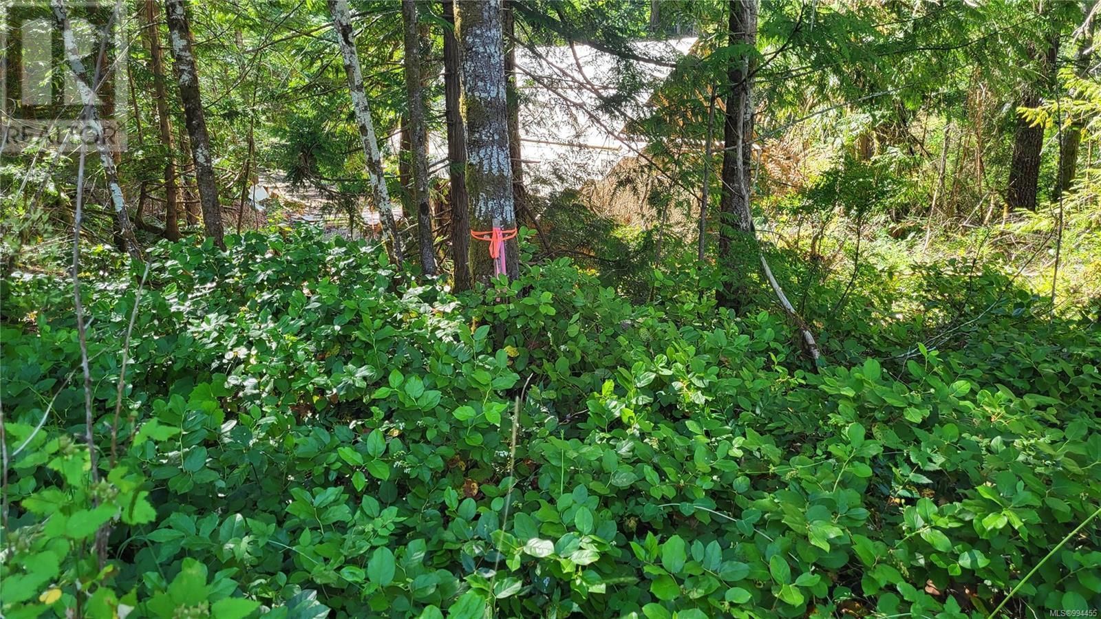 Lot 3 COWICHAN LAKE ROAD Image 3