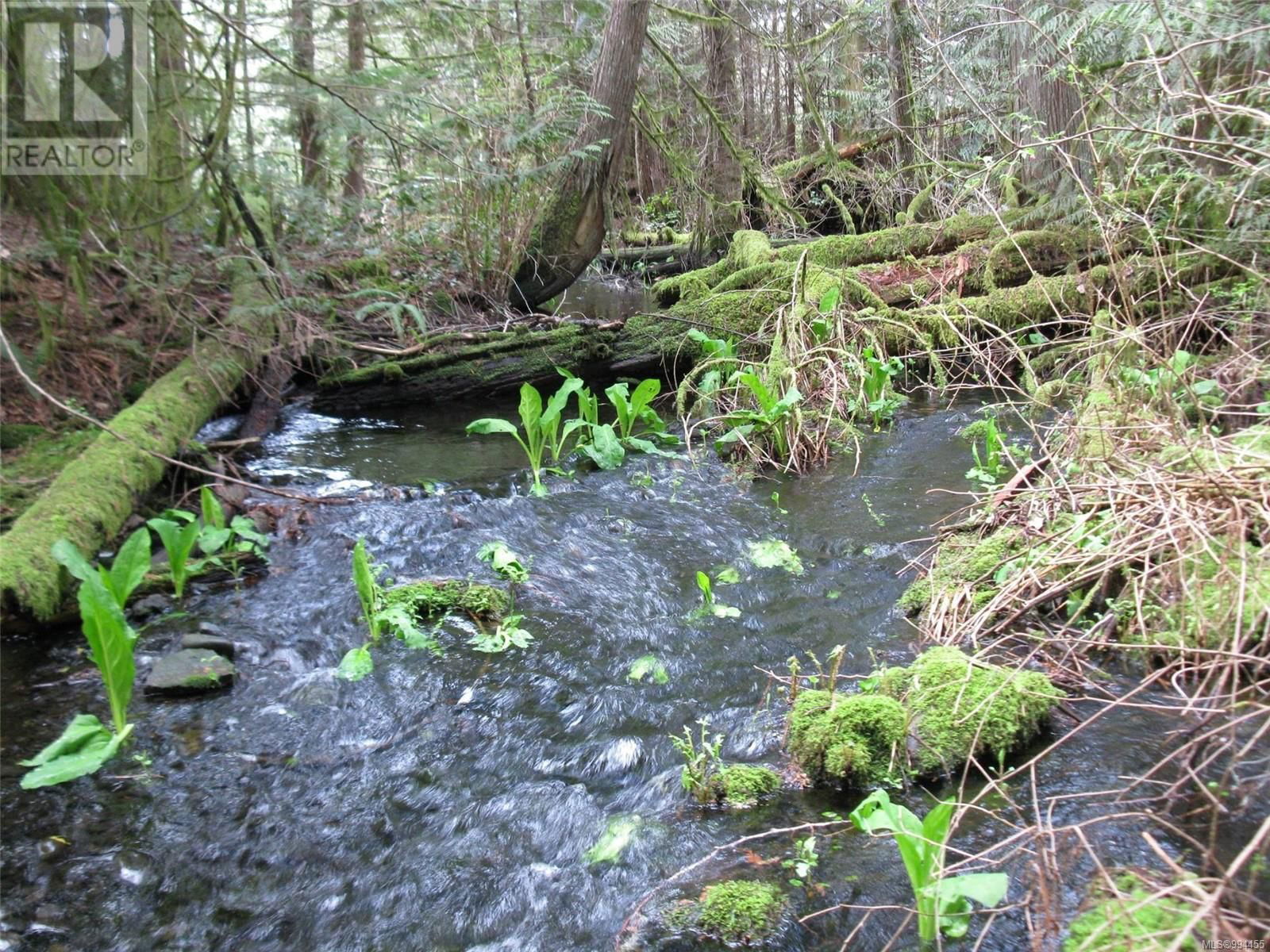 Lot 3 COWICHAN LAKE ROAD Image 4
