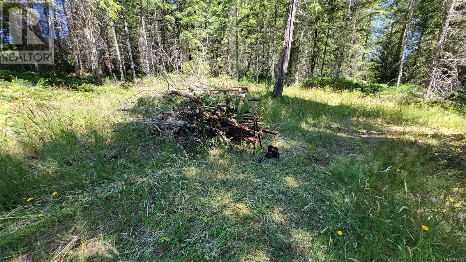 Lot 3 COWICHAN LAKE ROAD Image 5