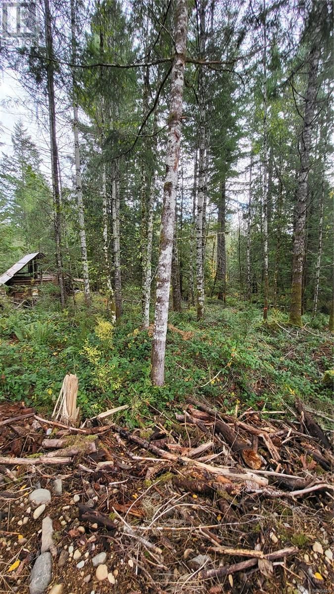 Lot 3 COWICHAN LAKE ROAD Image 6