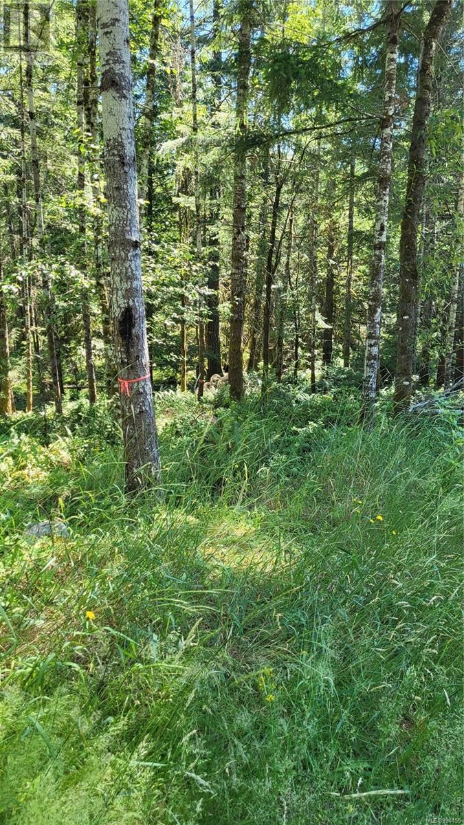 Lot 3 COWICHAN LAKE ROAD Image 7