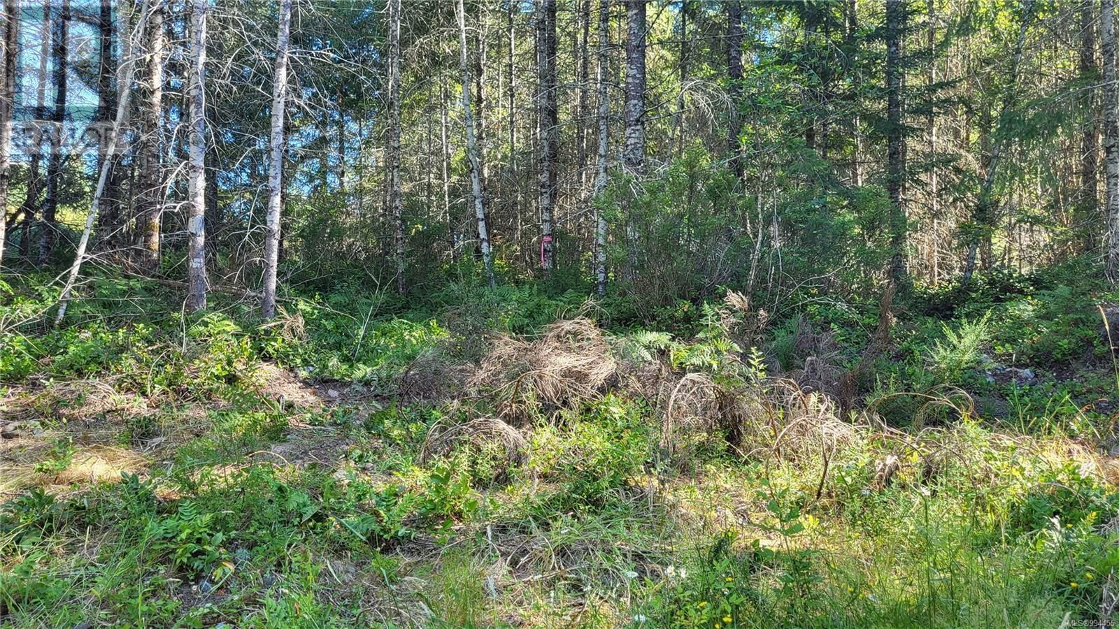 Lot 3 COWICHAN LAKE ROAD Image 8