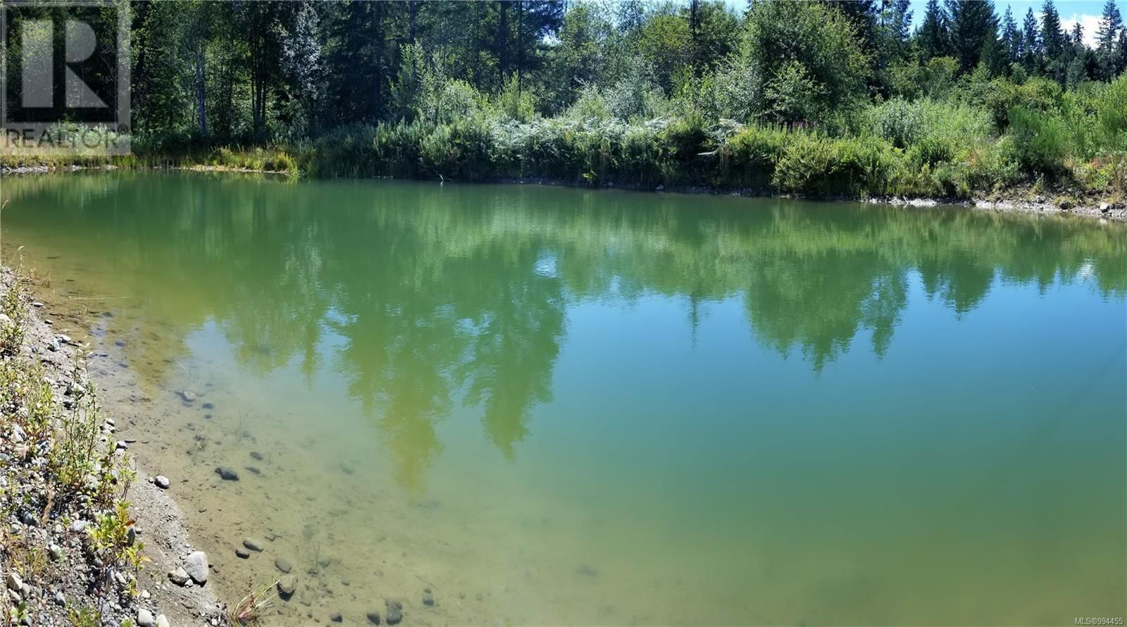 Lot 3 COWICHAN LAKE ROAD Image 9