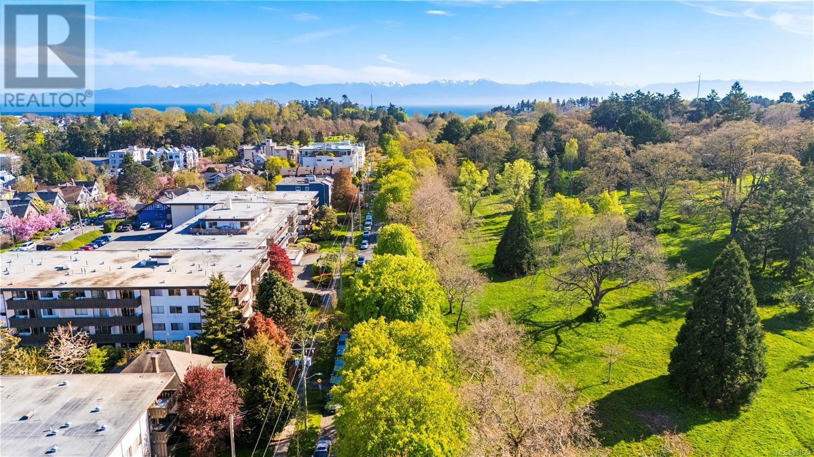Primary Property View