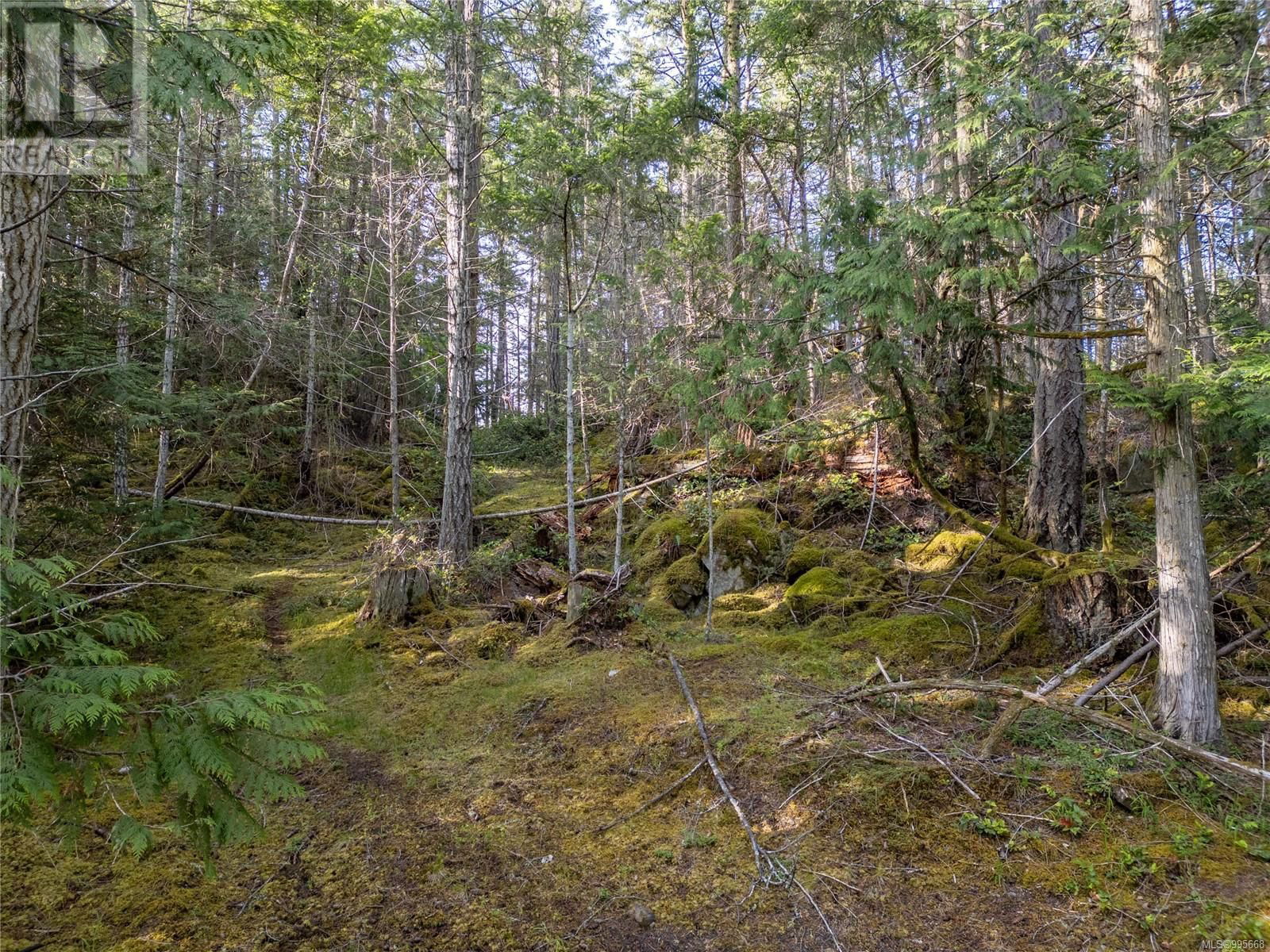 6903 SHARK PLACE Image 11