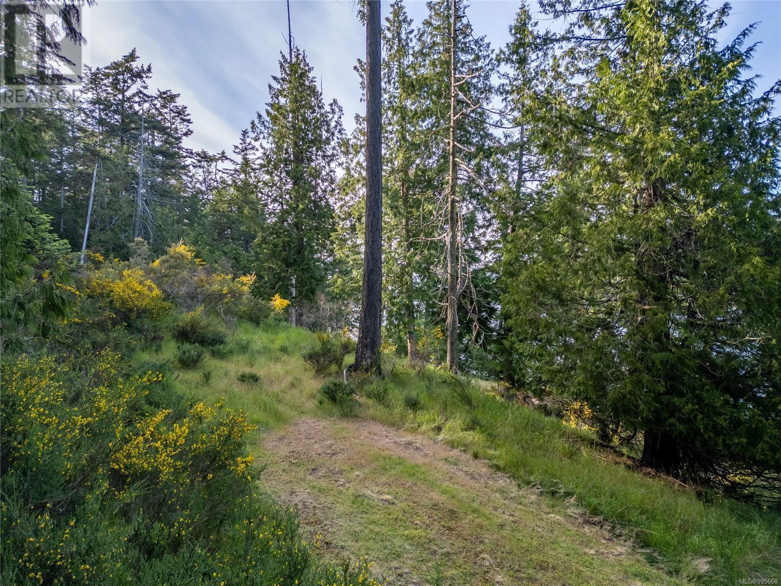 6903 SHARK PLACE Image 13
