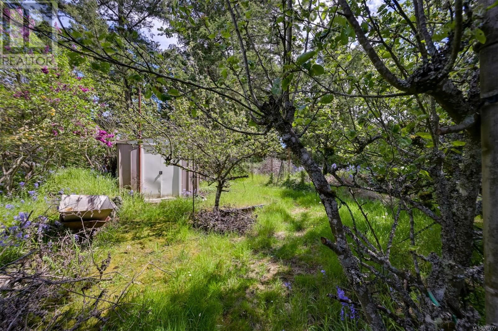 1233 TATTERSALL DRIVE Image 51