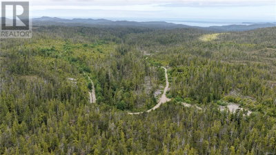 Holberg Highway | Port Hardy British Columbia | Slide Image Twenty-two