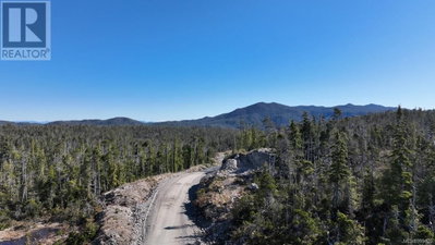 Holberg Highway | Port Hardy British Columbia | Slide Image Nine