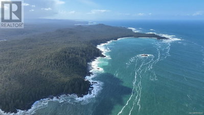 Holberg Highway | Port Hardy British Columbia | Slide Image Seven